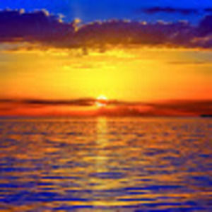 Meet your Posher, Mateo s